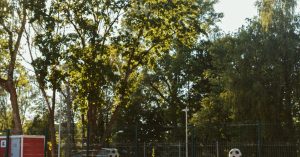 Chicago Avalon Park Parking