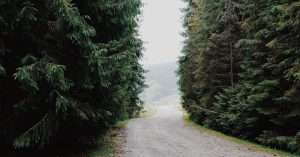 Chicago Budlong Woods Parking