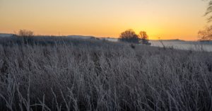 Chicago Clearing West Parking
