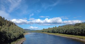 Chicago Cottage Grove Heights Parking