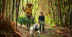 Chicago Graceland West Parking