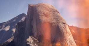 Chicago Hamilton Park Parking