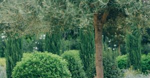 Chicago Humboldt Park Parking