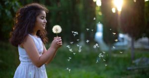 Chicago Jackson Park Highlands Parking