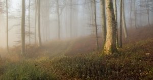 Chicago Kennedy Park Parking