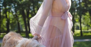 Chicago Lincoln Park Parking