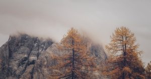 Chicago Little Italy Parking