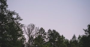 Chicago Little Village Parking