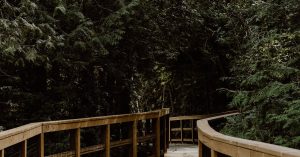 Chicago North Park Parking