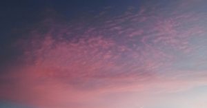 Chicago Prairie Shores Parking