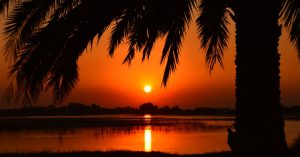 Chicago River West Parking