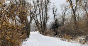 Chicago Riverdale Parking