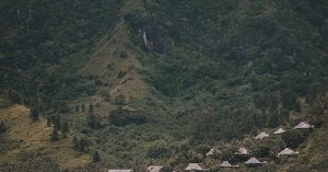 Chicago Schorsch Forest View Parking