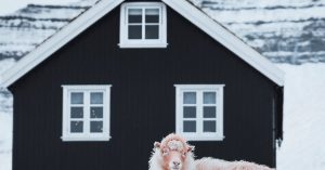 Chicago University Village Parking