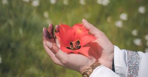 Chicago Wentworth Gardens Parking