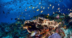 Chicago West Loop Parking