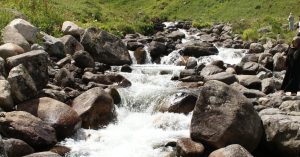 Grand Rapids Parking Information