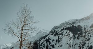 Jackson Parking Information