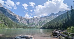 Montana Parking Information