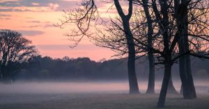 Nebraska Parking Information