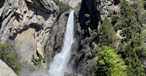 Nevada Parking Information