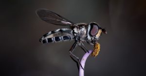 New Haven Parking Information