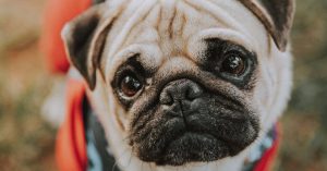 South Dakota Parking Information