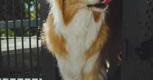 Spokane Parking Information