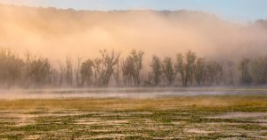 Wisconsin Parking Information