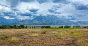 Wyoming Parking Information